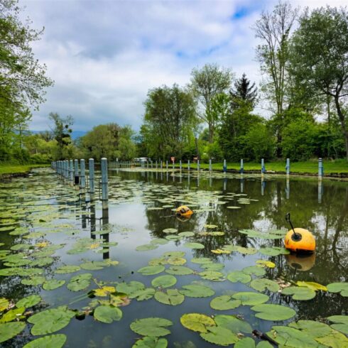 Rolling hills and lush green fields surrounding Basel, with distant mountain views
