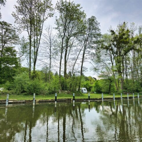 Sunrise casting warm golden light over the towering peaks of the Swiss Alps