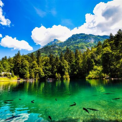 Winding road over Furka Pass with dramatic views of the Swiss Alps and distant glaciers