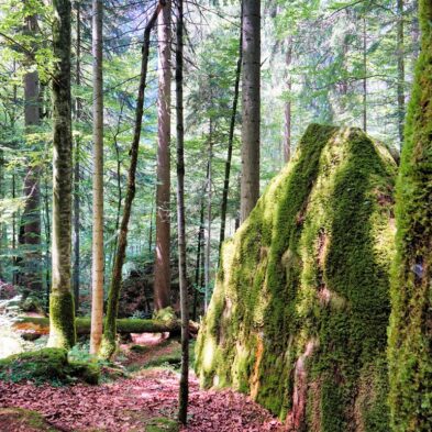 Winding road over Furka Pass with dramatic views of the Swiss Alps and distant glaciers