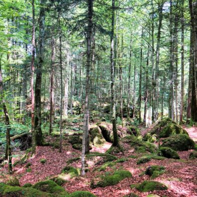 Winding road over Furka Pass with dramatic views of the Swiss Alps and distant glaciers