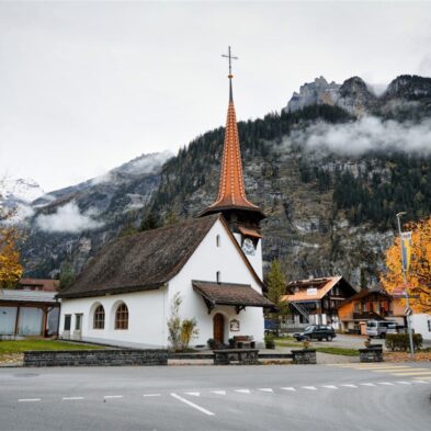 Peaceful hiking trail through dense Swiss forests with towering pines and alpine views