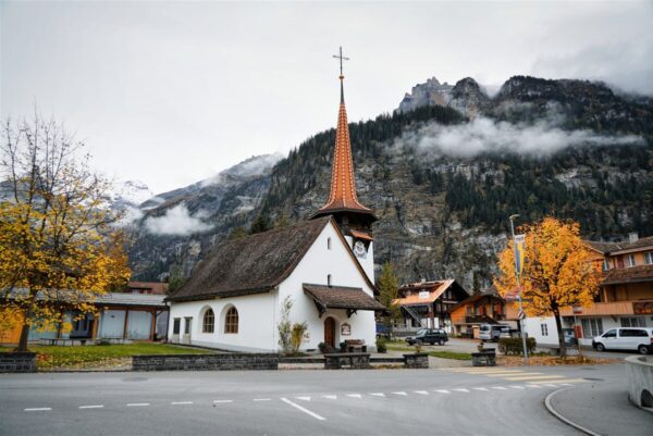 Peaceful hiking trail through dense Swiss forests with towering pines and alpine views