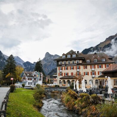 Peaceful hiking trail through dense Swiss forests with towering pines and alpine views