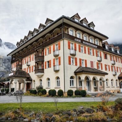 Peaceful hiking trail through dense Swiss forests with towering pines and alpine views