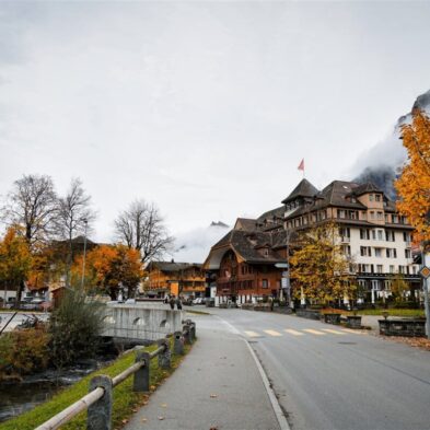 Rolling hills and lush green fields surrounding Basel, with distant mountain views