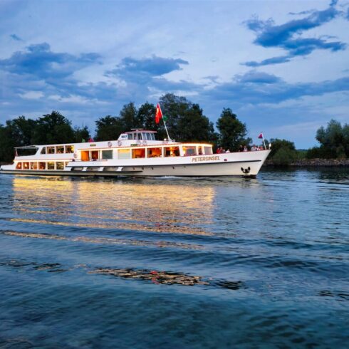 Peaceful hiking trail through dense Swiss forests with towering pines and alpine views
