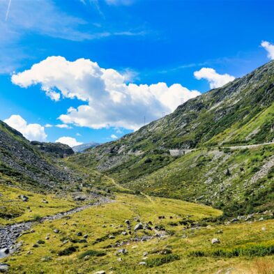 Travel & Discover Switzerland through Stunning Photography