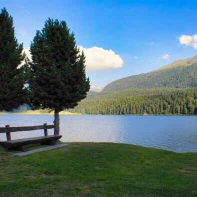 Rhône Glacier with its distinct blue ice, flowing down into the valley at Furka Pass