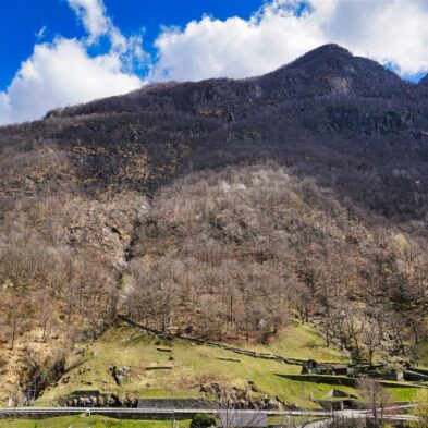 Autumn-colored forests and rolling hills in the Swiss countryside near Basel